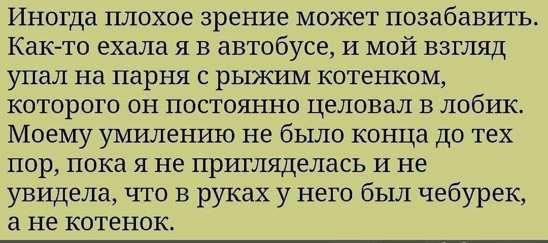 Иногда плохое зрение может позабавить Каюто ехала я в автобусе И МОЙ взгляд упал на парня С рЫЯСИМ КОТЁНКОМ которого он постоянно целовал в лобик Моему умилению не было конца до тех пор пока я не пригляделась и не увидела что в руках у него был чебурек не котенок