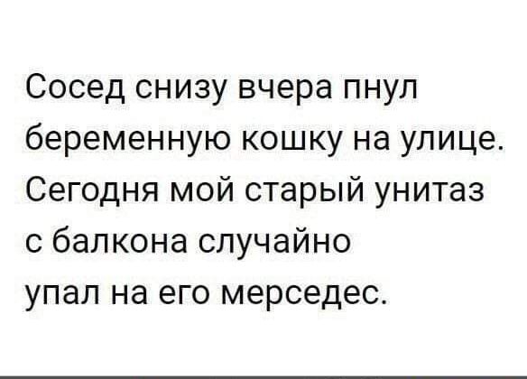 Сосед снизу вчера пнул беременную кошку на улице Сегодня мой старый унитаз с балкона случайно упал на его мерседес