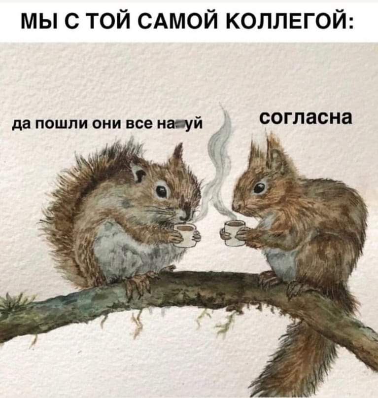 МЫ С ТОЙ САМОЙ КОЛЛЕГОЙ да пошпи они все ищй _ сгласна