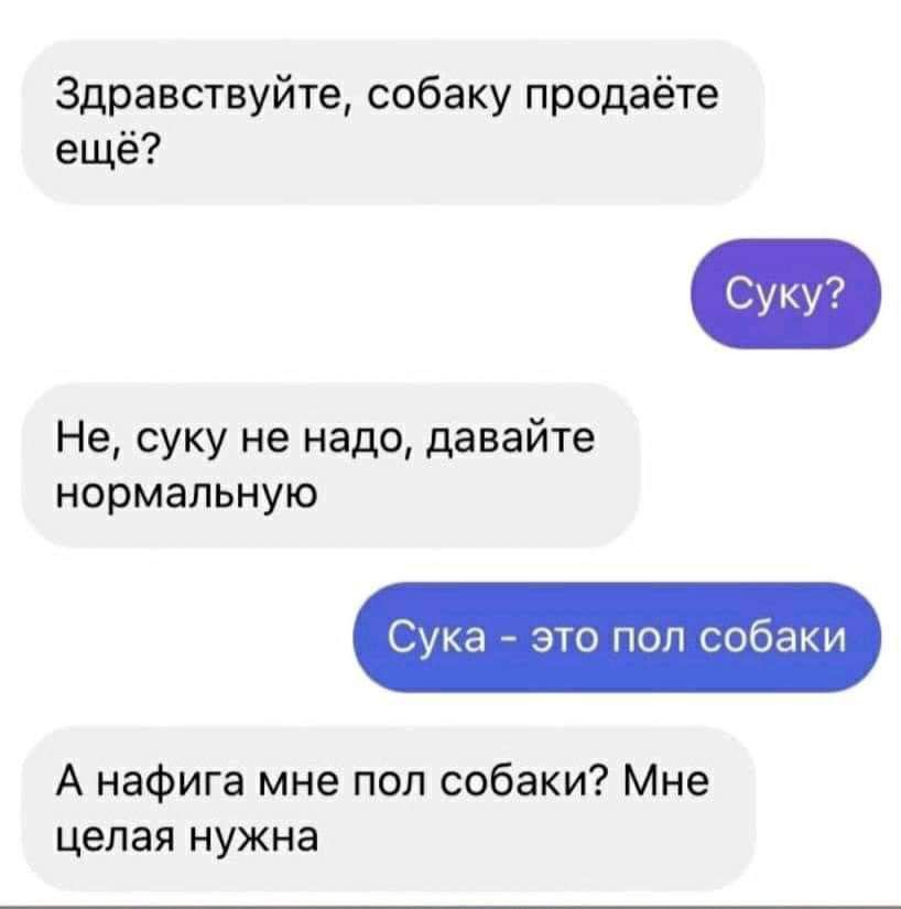 Здравствуйте собаку продаёте ещё Не суку не надо давайте нормальную то поп собаки А нафига мне пол собаки Мне целая нужна