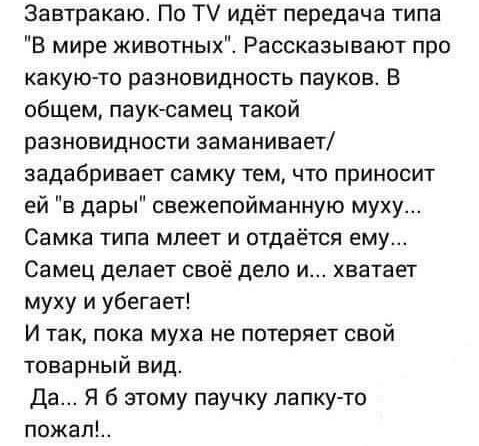 Завтракаю По Т идёт передача типа В мире животных Рассказывают про какую то разновидность пауков В общем паукюамец такой разновидности заманивает задабривает самку тем что приносит ей в дары свежепойманную муху Самка типа мпеет и отдаётся ему Самец делает своё дело и хватает муху и убегает И так пока муха не потеряет свой товарный вид да Я б этому паучку лапку то пожал