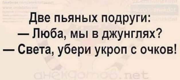 две пьяных подруги Люба мы в джунглях Света убери укроп с очков