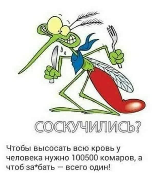 СОСКУЧИЙИСЫ Чтобы высосать всю кровь у человека нужно 100500 комаров а чтоб забать всего один