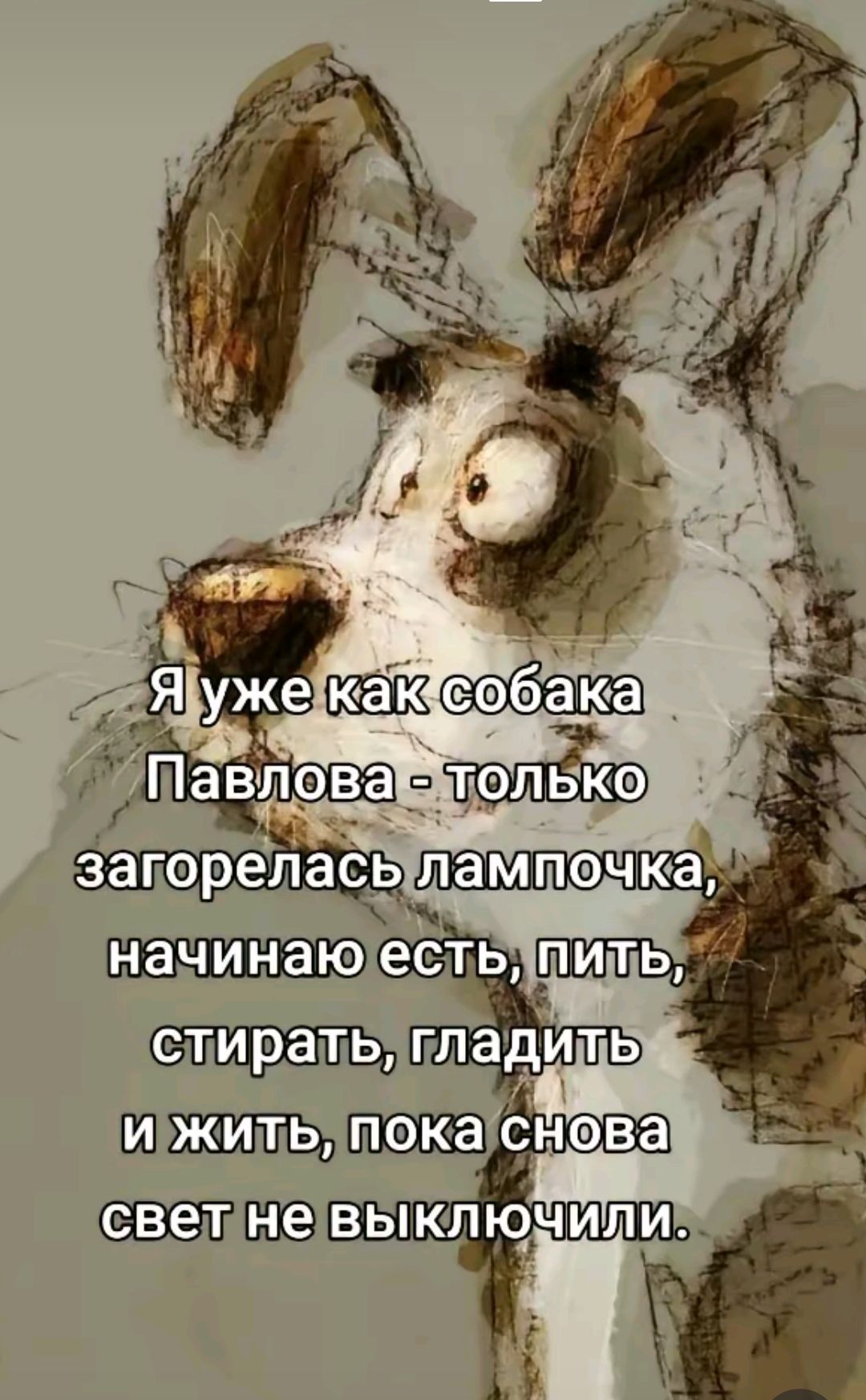 шш_