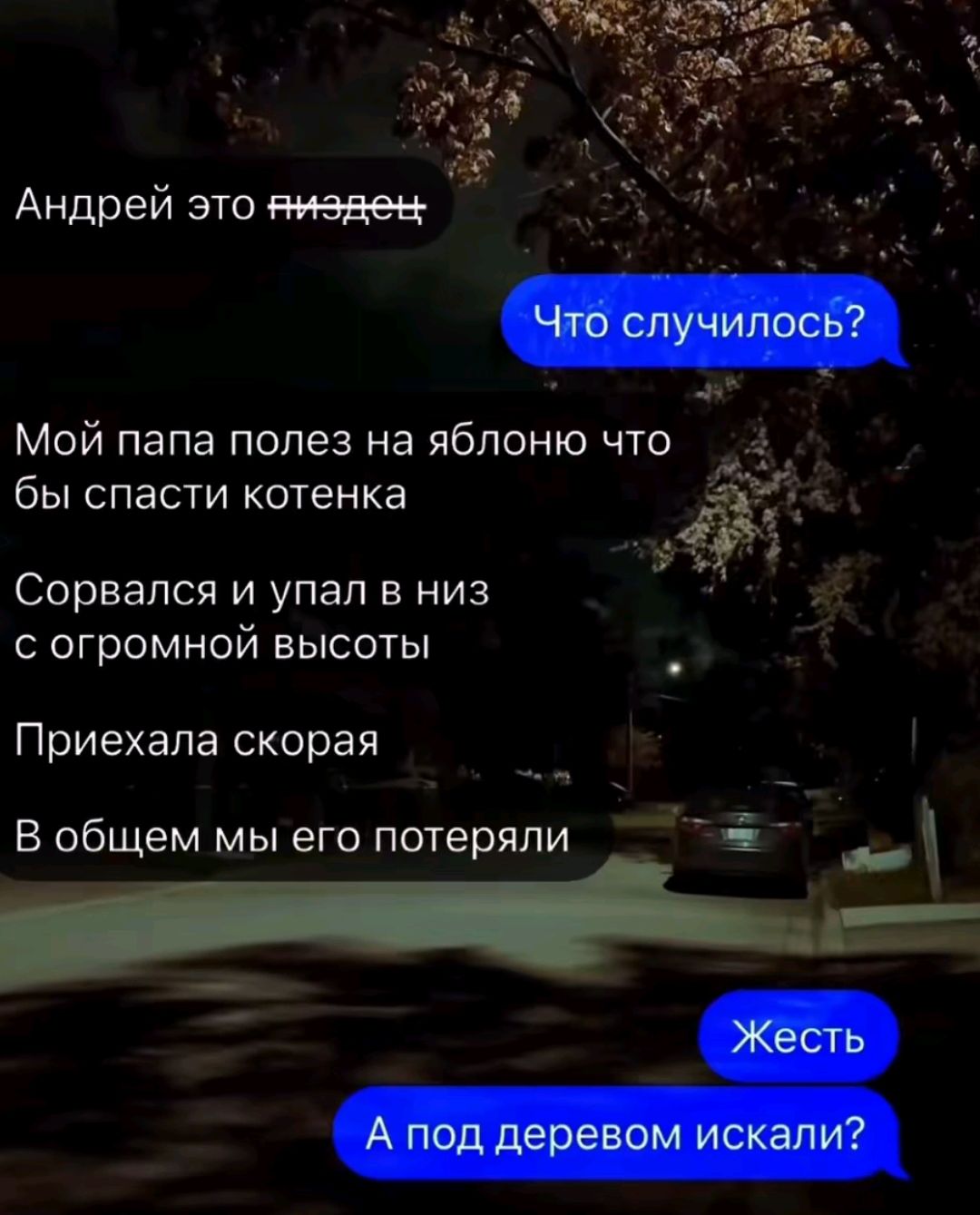 Мой папа полез на яблоню что А бы спасти котенка Сорвапся и упал в низ С огромной ВЫСОТЫ Приехала скорая В общем мы его потеряли ___