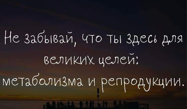 Не 3абывай ЧТо Ты Здесь для зеликих целей метаболизма и РСПРОЩЩИИ