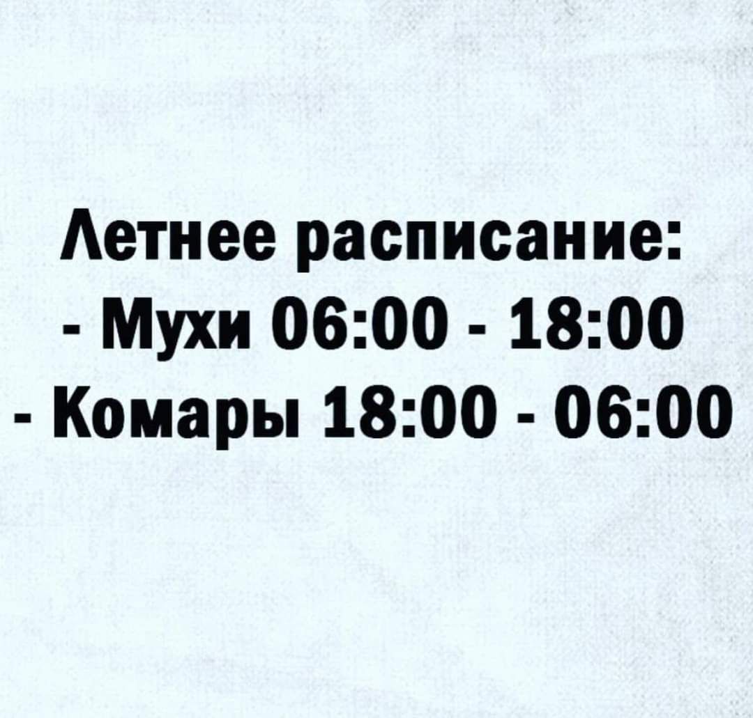 Аетнее расписание Мухи 0600 1800 Комары 1800 0600