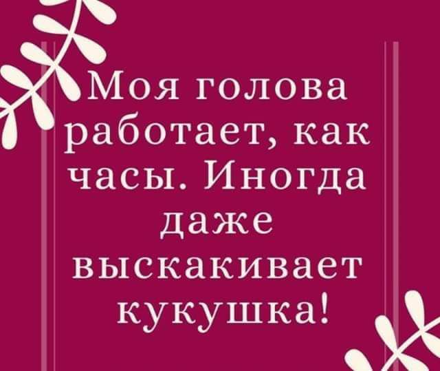 Моя голова работает как часы Иногда даже выскакивает кукушка