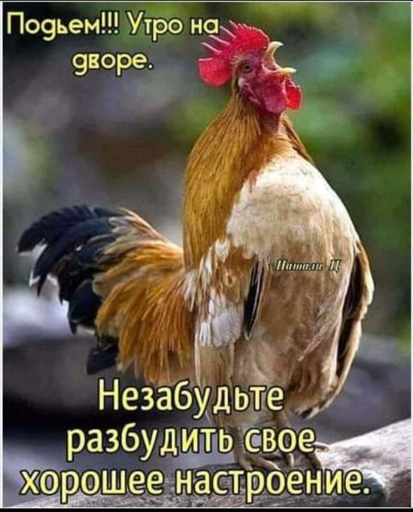 Незабудьпе