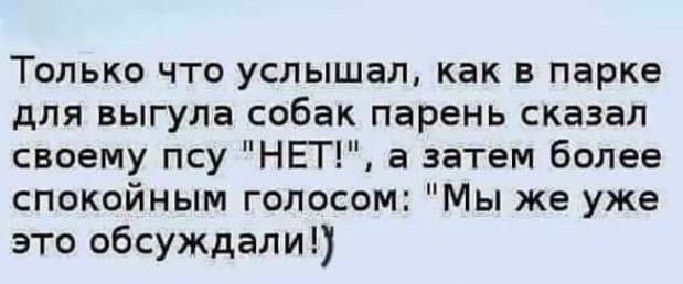 ТОЛЬКО ЧТО услышал как В парке для БЫГУЛЗ собак парень сказал своему псу НЕТ а затем более спокойным голосом Мы же уже это обсуждали