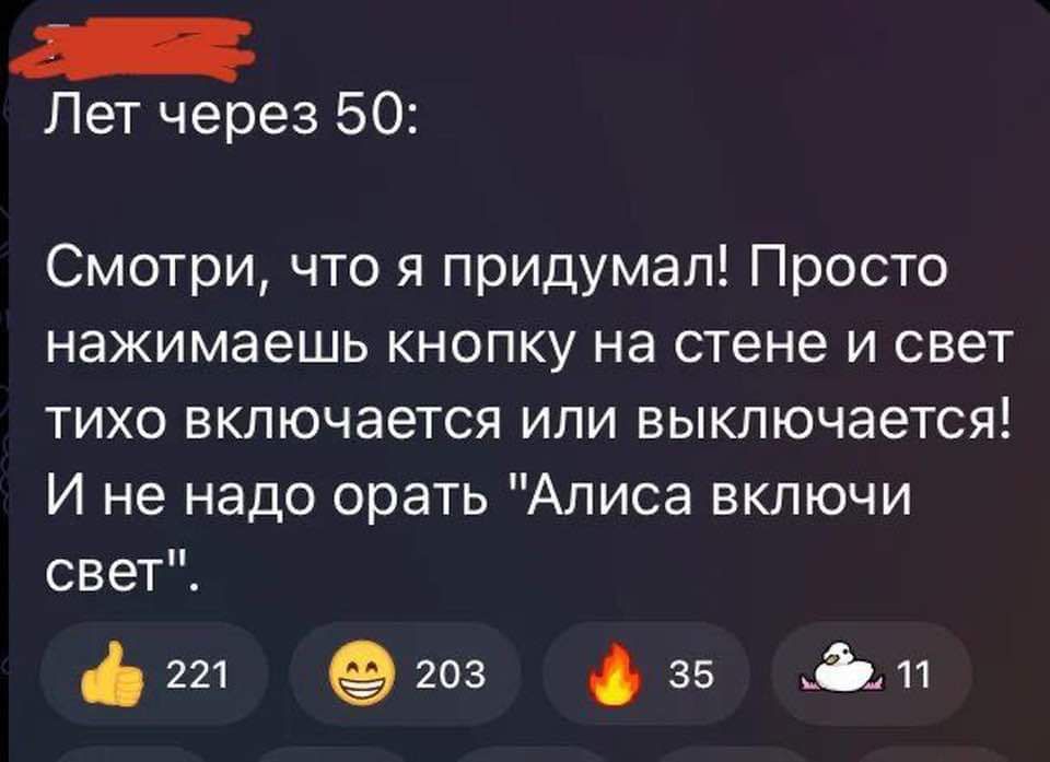 Лет через 50 Смотри что я придумал Просто нажимаешь кнопку на стене и свет тихо включается или выключается И не надо орать Алиса включи свет 221 9 103 35 _Ёп