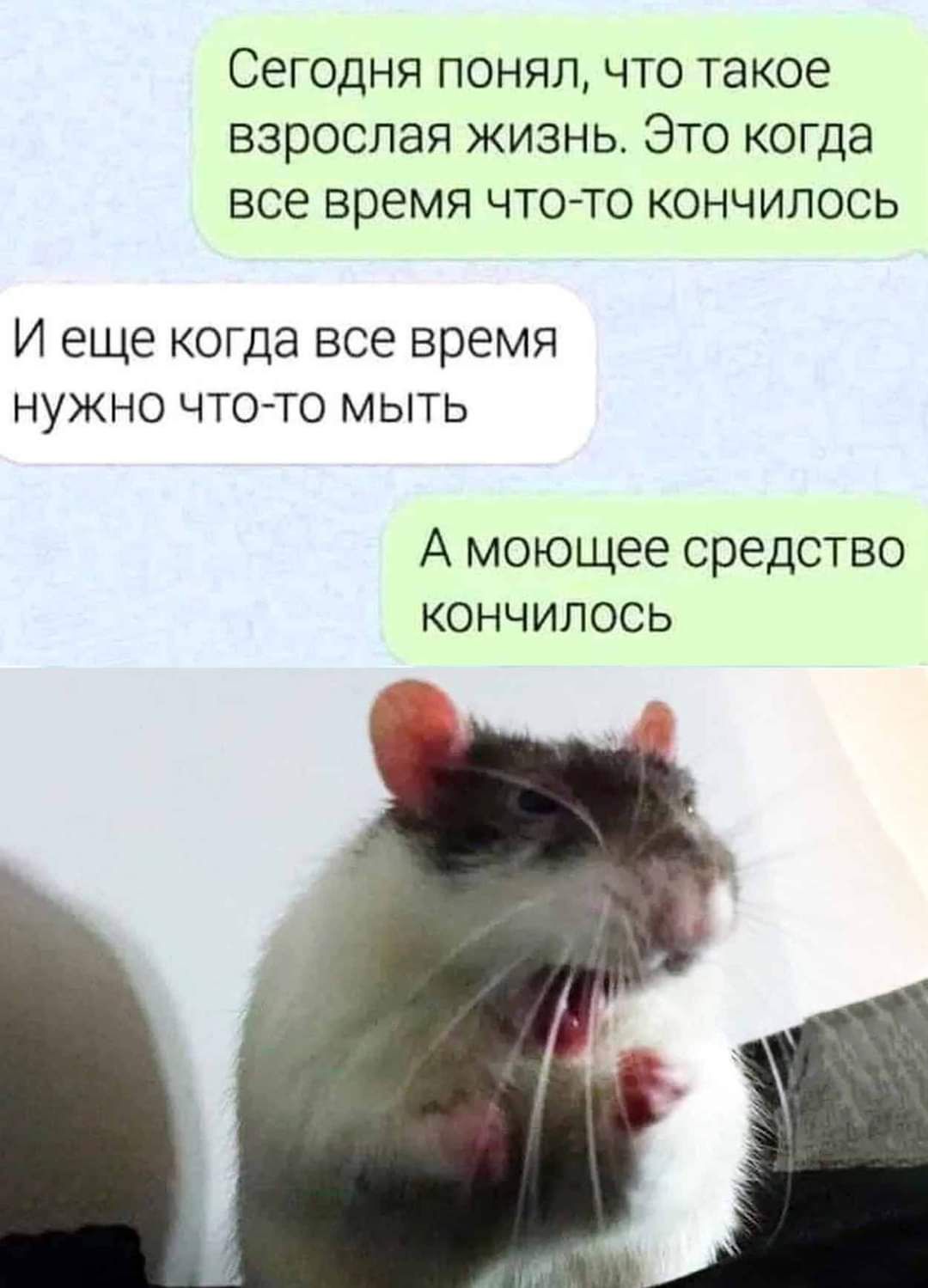 СЕГОДНЯ ПОНЯЛ ЧТО такое ВЗрОСЛаЯ ЖИЗНЬ ЭТО КОГДЭ все время ЧТО ТО КОНЧИПОСЬ И еще когда все время нужно чтойто Мыть А моющее средство кончилось