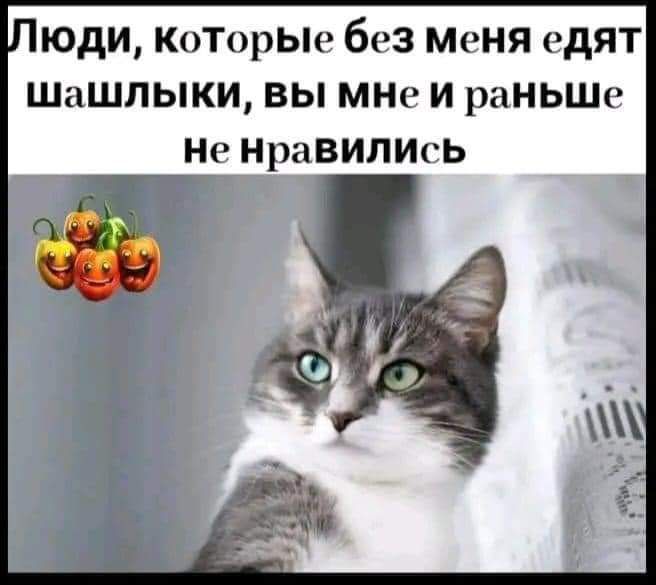 юди КоТорЫе без Меня едят Шашлыки вы мые и раНЬШе Не НраВИЛИсь