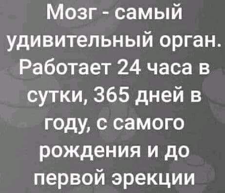 Мозг самый удивительный орган Работает 24 часа в сутки 365 дней в году с самого рождения и до первой эрекции