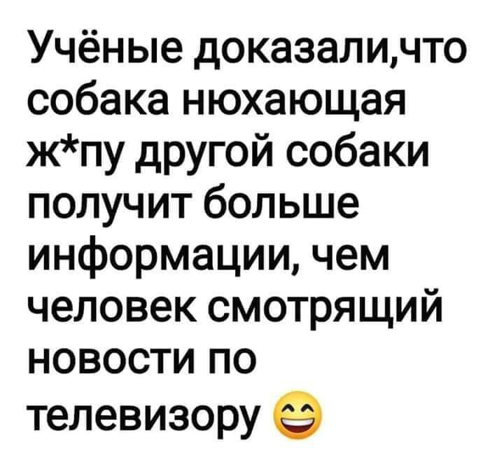 Учёные доказаличто собака нюхающая жпу другой собаки получит больше информации чем человек смотрящий новости по телевизору