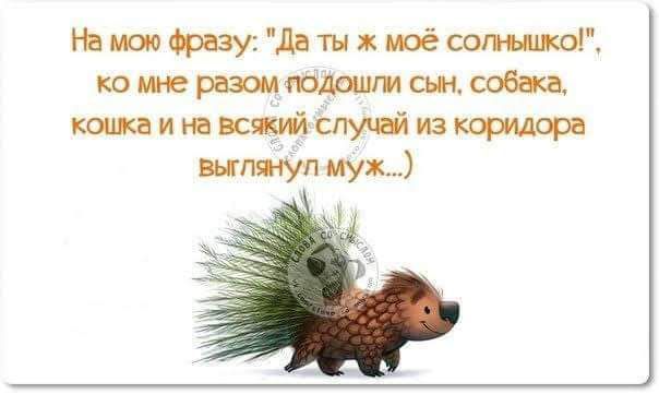 Шитщзуідптнхюёсопщф кожшс кипиш сспучі изкорпдсрв пятницу