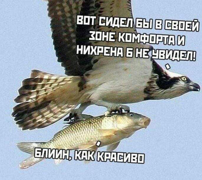 тишман