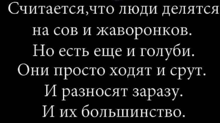 Считаетсячто люди делятся на сов и жаворонков Но есть еще и голуби Они просто ходят и срут И разносят заразу И их большинство