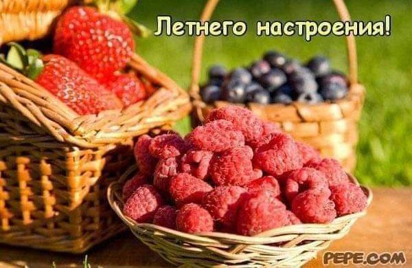 Р Ё ИП ге настрое ия