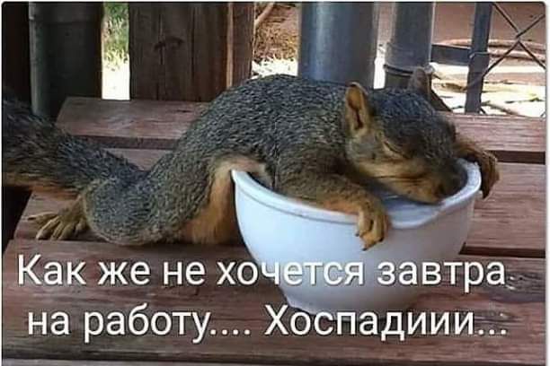 на работу о падиии