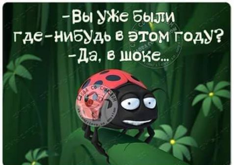 Вы УЖе Бьрм где нибудь в этом годы да В Шбке