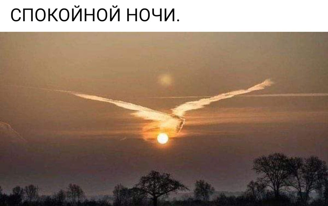 СПОКОЙНОЙ НОЧИ