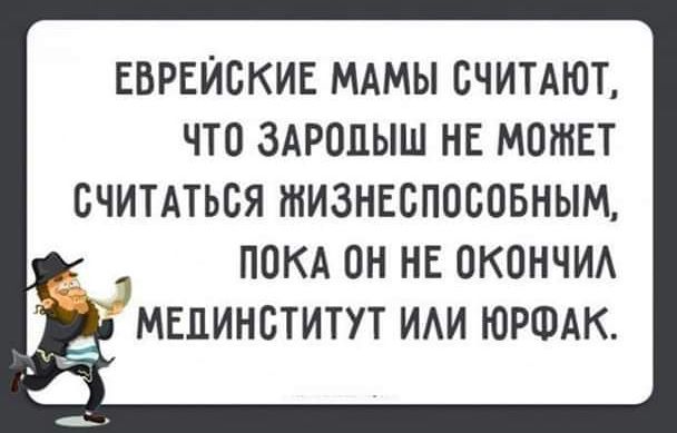 ЕВРЕЙСКИЕ МАМЫ СЧИТАЮТ ЧТО ЗАРЦЦЫШ НЕ МОЖЕТ СЧИТАТЬСЯ тИЗНЕСПОБОБНЫМ 7 ПОКА ПН НЕ ОКОНЧИА МЕПИНБТИТУТ ИАИ ЮРФАК