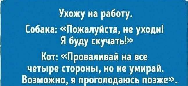 Ухожу на работу Собака Пожалуйпа не уходи Я буду скучать Кот Принимай на все чиыре стороны но не умирай Возможно я прошломюсь позже