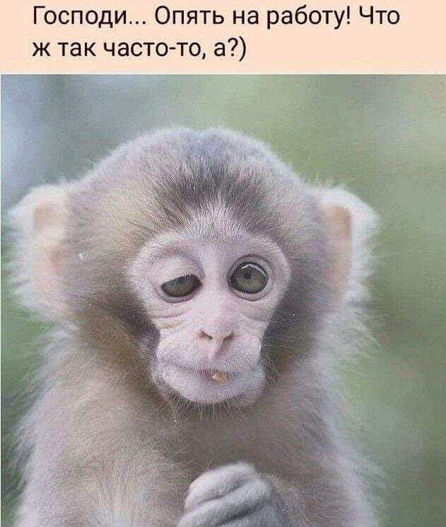 Господи Опять на работу Что ж так часто то а