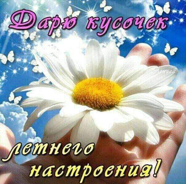 _ Митид лаютМанин