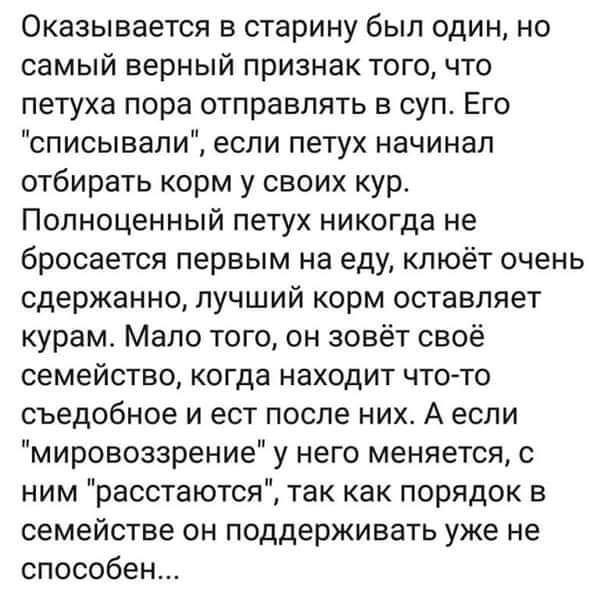 Оказывается в старину был один но самый верный признак того что петуха пора отправлять в суп Его списывали если петух начинал отбирать корм у своих кур Полноценный петух никогда не бросается первым на еду клюёт очень сдержанно лучший корм оставляет курам Мало того он зовёт своё семейство когда находит что то съедобное и ест после них А если мировоззрение у него меняется с ним расстаются так как по