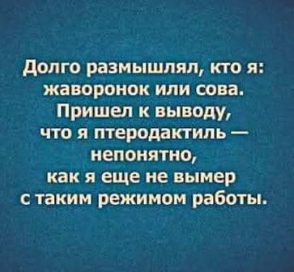 долго размышлял кто я жаворонок или сова Пришел к выводу что я птеродакгипь непонятно как я еще не вымер стаким режимом работы