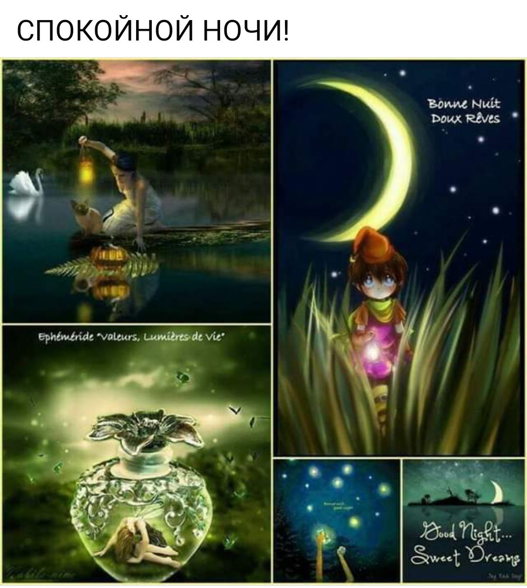 СПОКОЙНОЙ НОЧИ