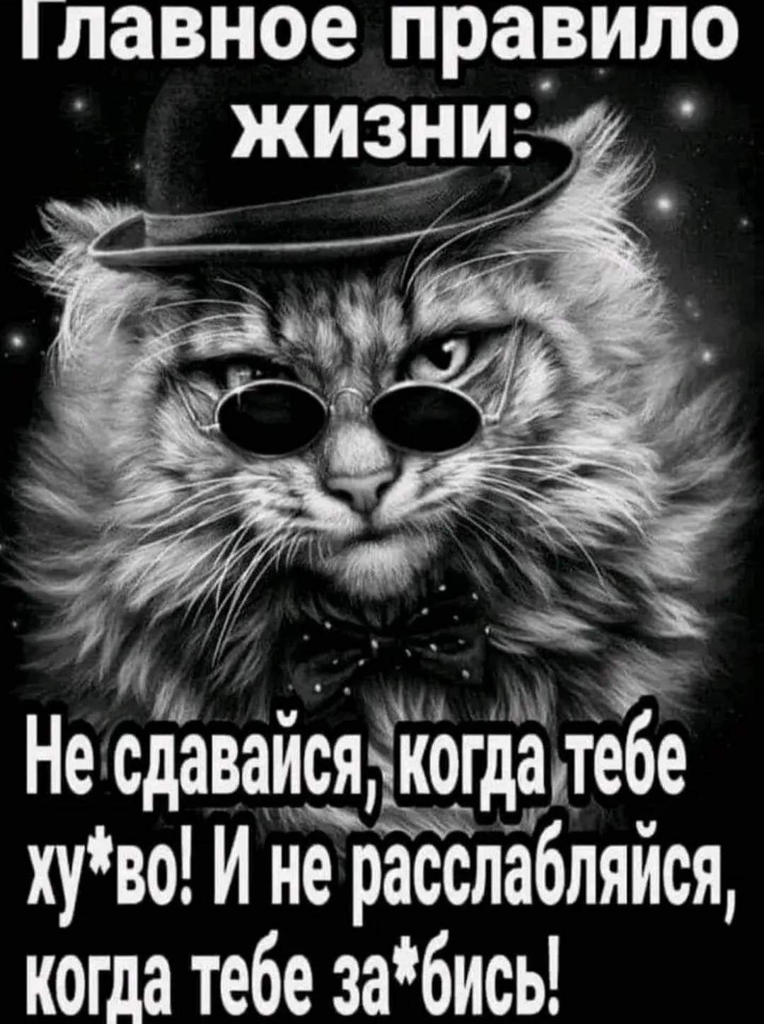 Главное правило зи Несдаваичсддёзуддлебе хуво И не расслабляися когда тебе забись