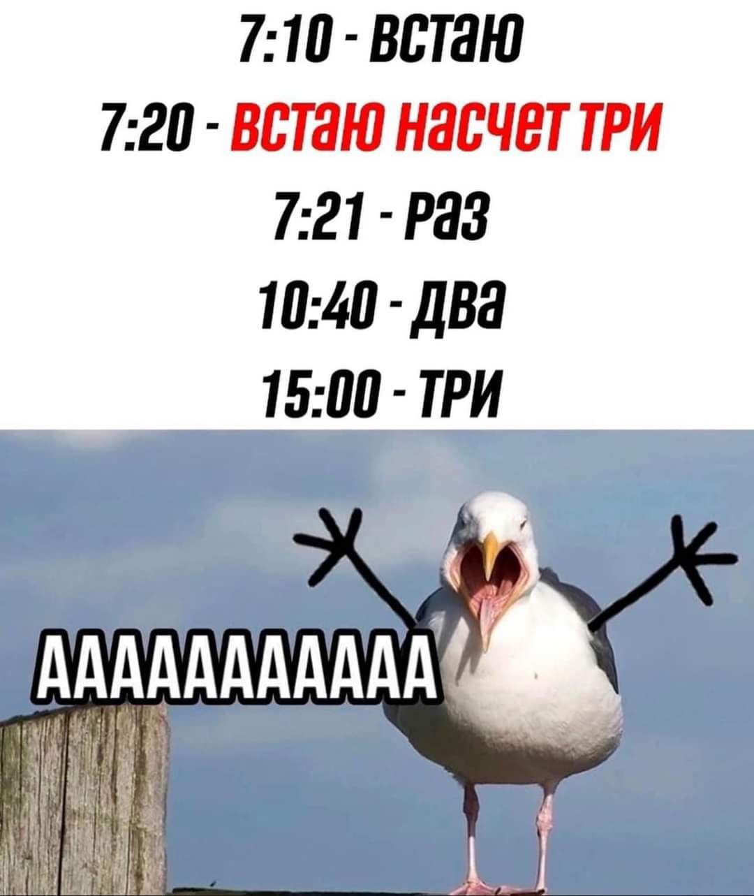 710 ВЬТЯЮ 720 ВВТЯЮ НЭСЧЕТ ТРИ 721 РЭЗ 1040 ДБН 1500 ТРИ