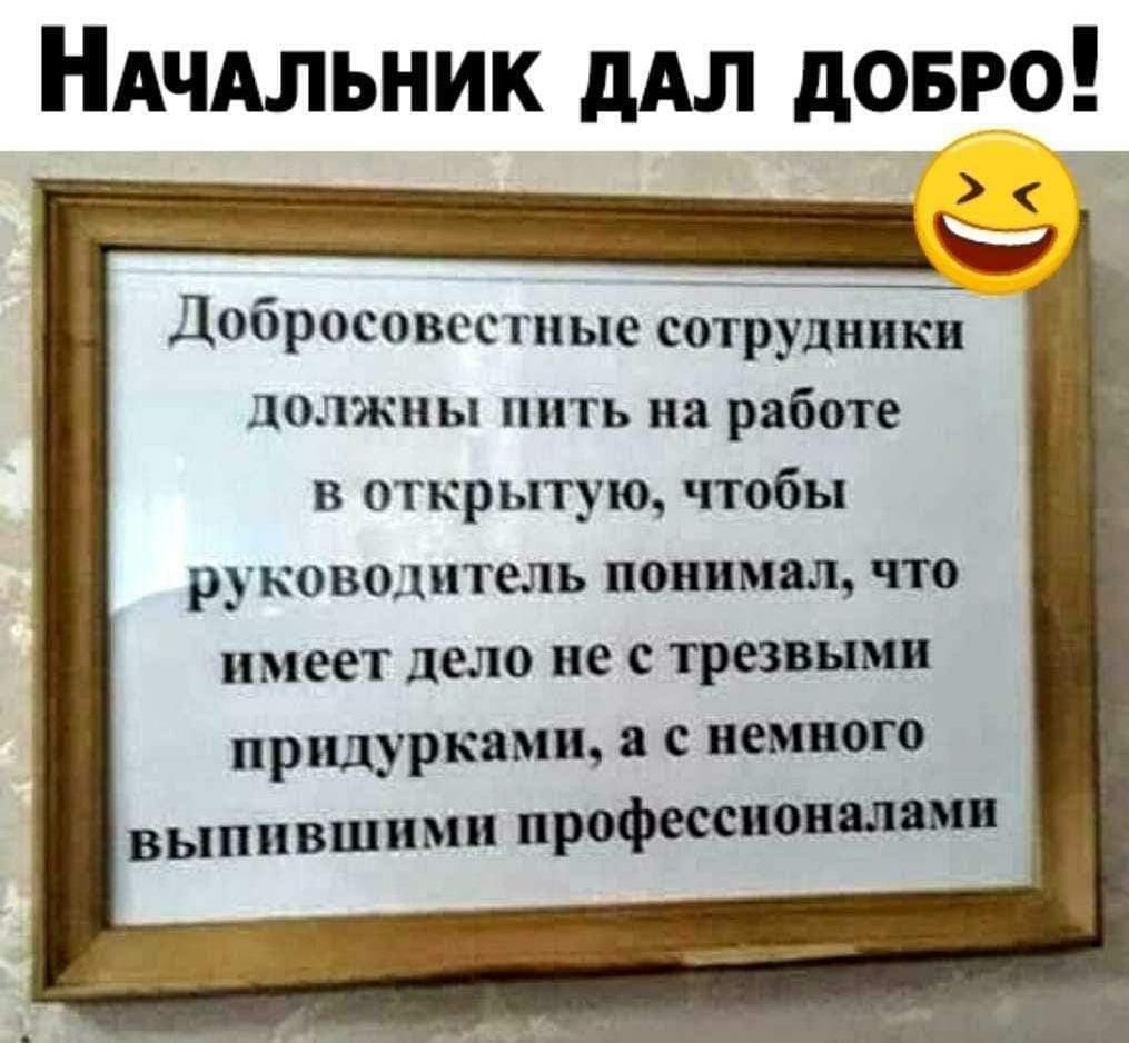 НАчАльник дАл довго Добросовестиые сотЁудипкн должны пить на ряботе в открытую чтобы руководитель понизил чю имеет дело не с трезвым придуркямщ с немного выпившими пд