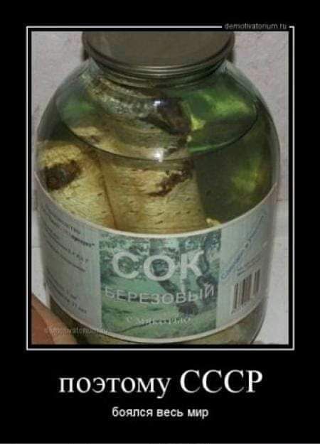 поэтому СССР Боялсяисьт