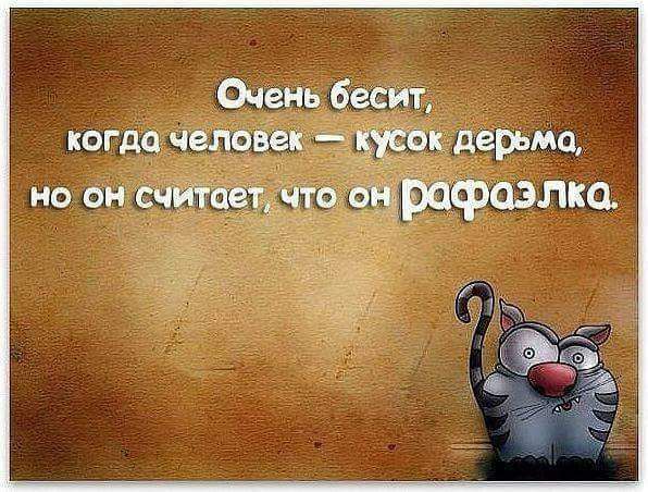 Очень бесит когда человек кусок дерьма но он считает что он расраэлка