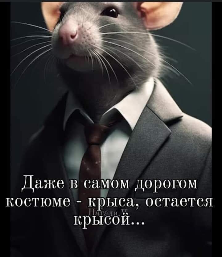 Даже В СЭМОМ дорогом костюме КРЫСЭ остается КРЫСОИ
