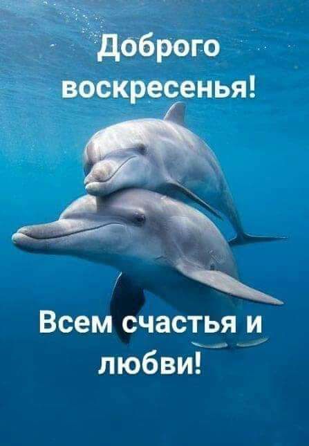 щъЁ аа Доброго воскресенья Всем счастья и любви