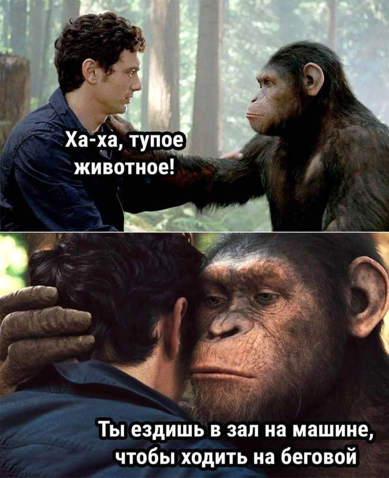Хаха туп животное Р е _ 3 Г Р Ты ездишь в зал на машине чтобы ходить на беговой