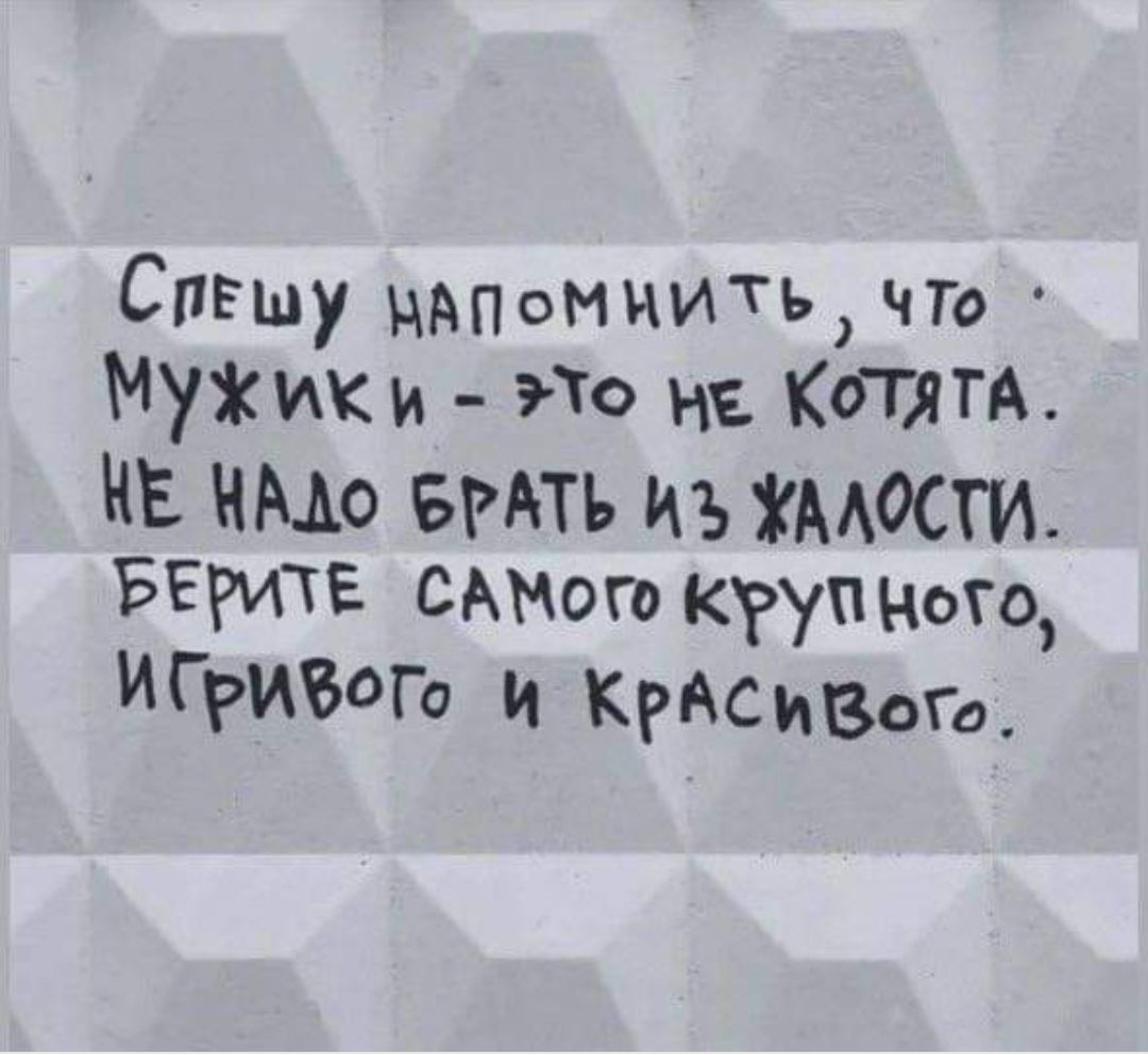 Спешу цАпоммить что МужЖики т не КоТЯТА Е НАЛО БРАТЬ и ХАЛОСТИ РЕРИТЕ САМого КрупНого ИСГРИ оГо и КрАСиВого