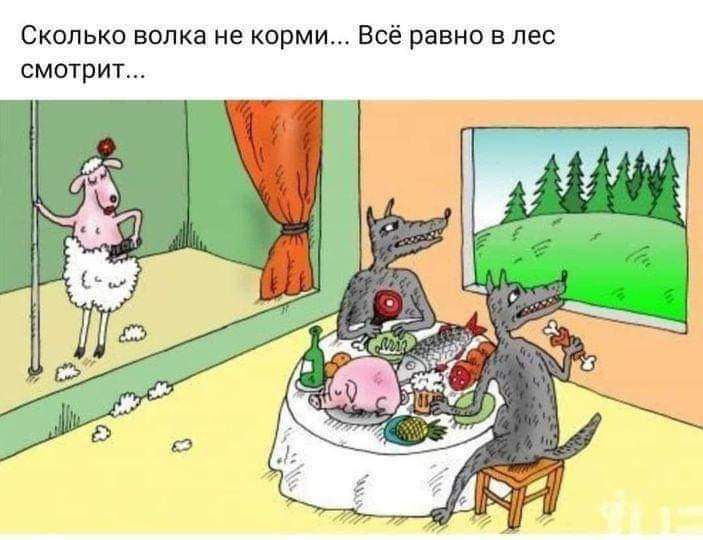 Сколько волка не корми Всё равно в лес смотрит