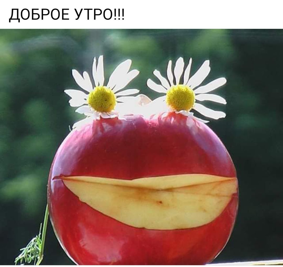 ДОБРОЕ УТРО