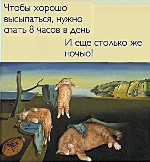 Чтобы хорошо высыпаться нужно спать 8 часов в день И еще столько же ночью