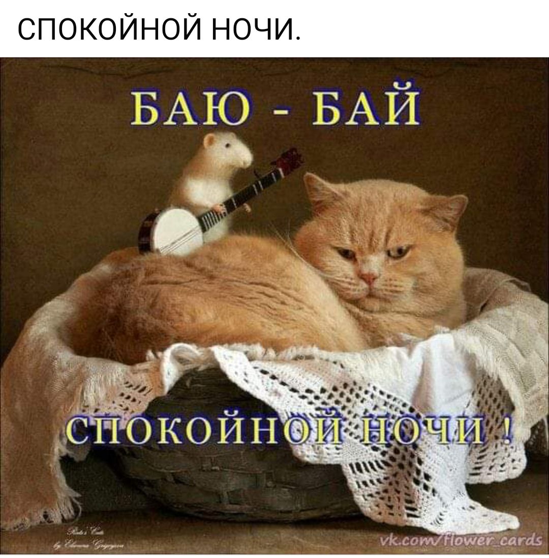 СПОКОЙНОЙ НОЧИ БАЮ БАЙ