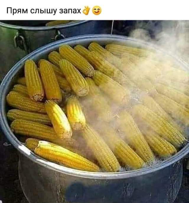 Прям слышу запах