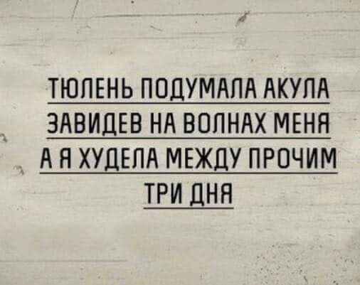 ТЮЛЕНЬ ПОДУМАЛА АКУЛА ЗАВИДЕВ НА ВОЛНАХ МЕНЯ АЯХУДЕЛА МЕЖДУ ПРОЧИМ ТРИ ДНЯ