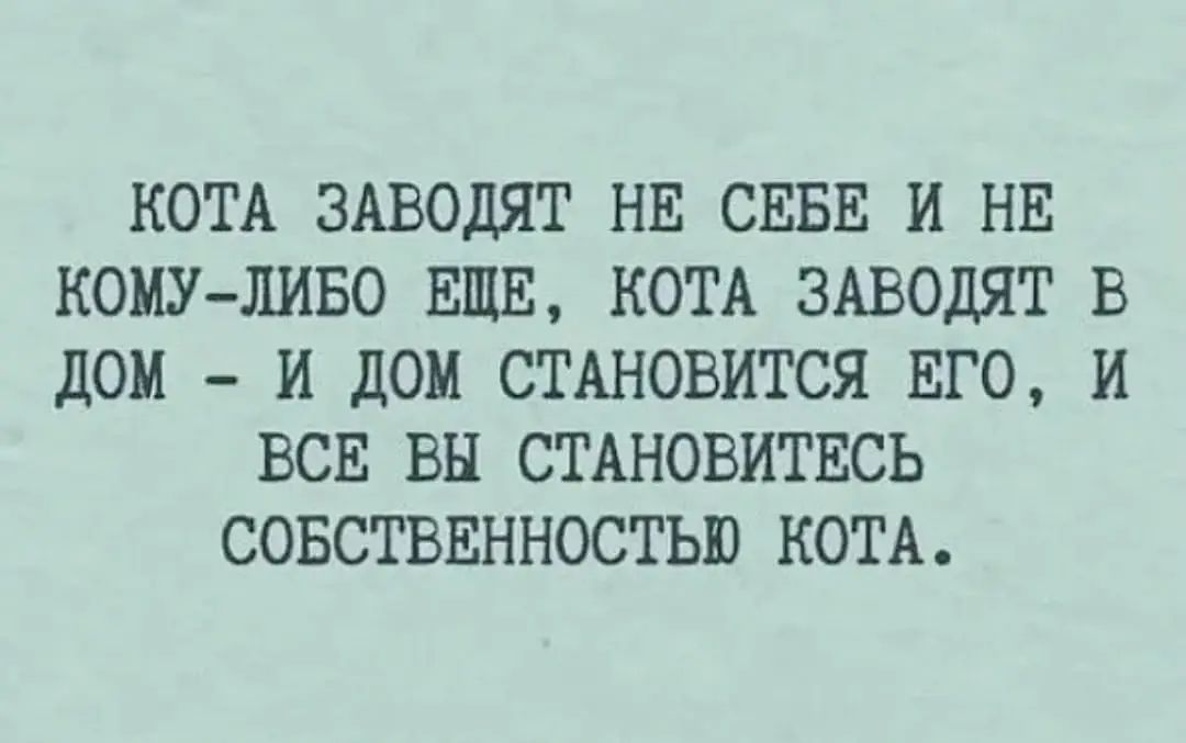 КОТА ЗАВОДЯТ НЕ СЕБЕ И НЕ КОМУ ЛИБО ЕЩЕ КОТА ЗАВОДЯТ В ДОМ И ДОМ СТАНОВИТСЯ ЕГО И ВСЕ ВЫ СТАНОВИТЕСЬ СОБСТВЕННОСТЬЮ КОТА