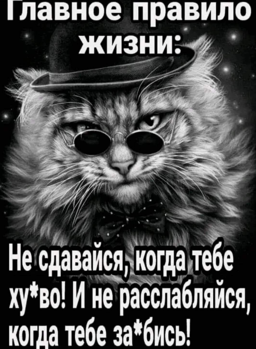 лавное правило ааа М Н сдаваисяёкогдатебе хуво И не расслабляися когда тебе забись